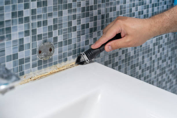 Best Mold Cleaning Services  in Waynesboro, VA