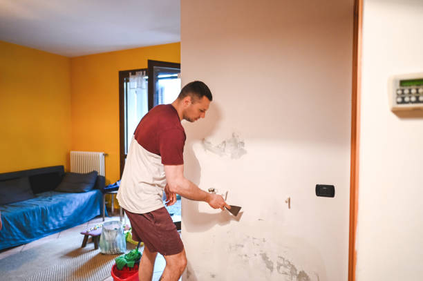 Best Affordable Mold Removal  in Waynesboro, VA